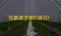 包裹递送模拟器3D